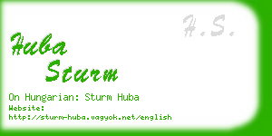 huba sturm business card